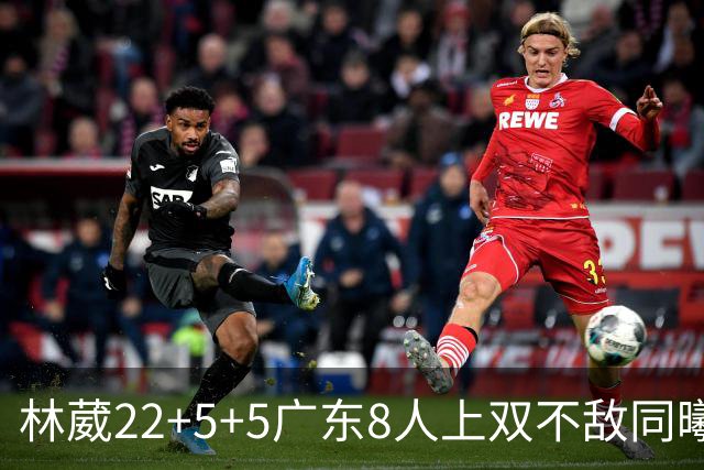 林葳22+5+5广东8人上双不敌同曦 皮特森34分